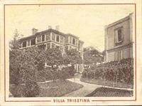 Villa+Triestina